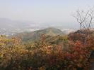 北京市香山公园_红叶_图片